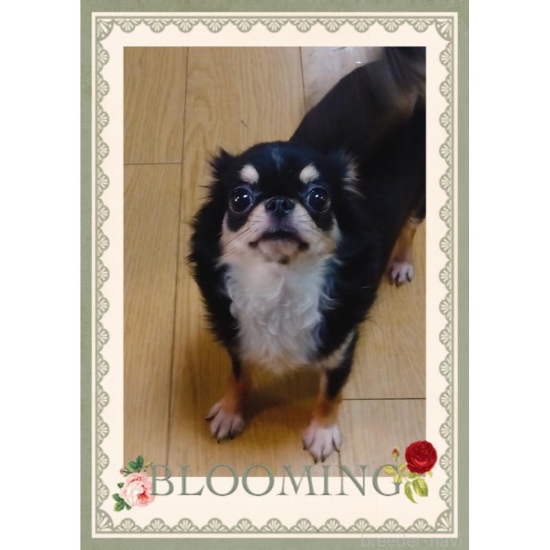 サナ🎀ちゃん1枚目