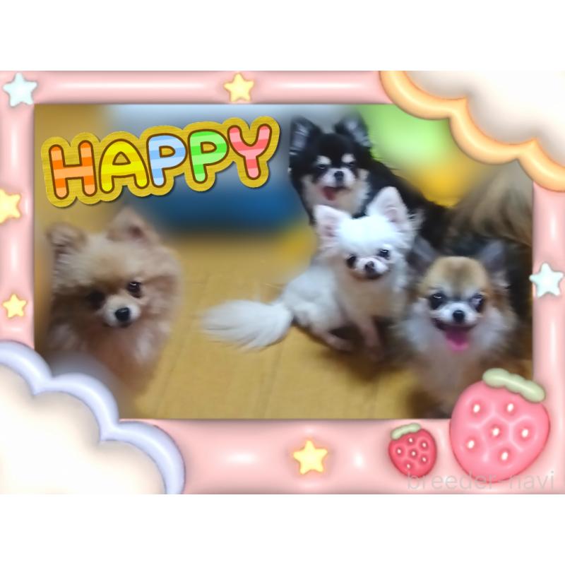 カノン🍓ちゃん1枚目