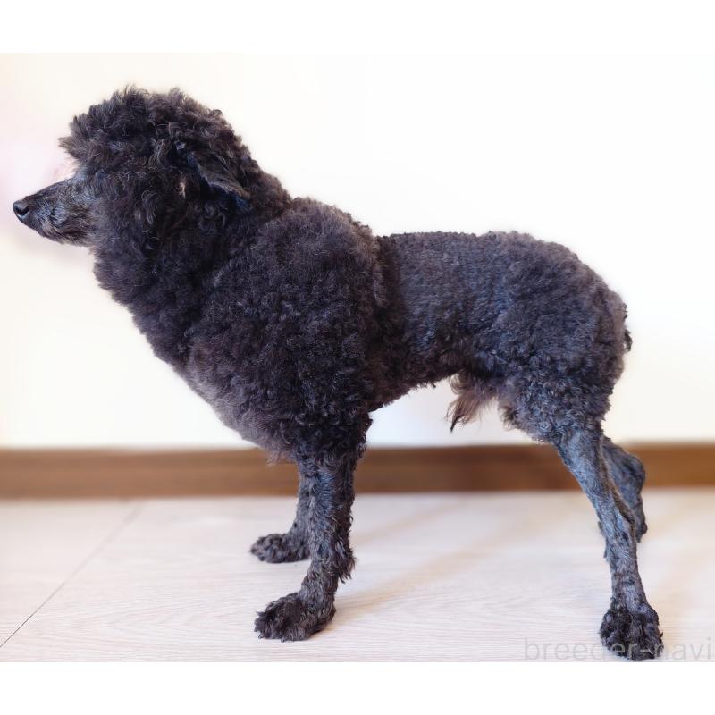 じょんじょんくん1枚目