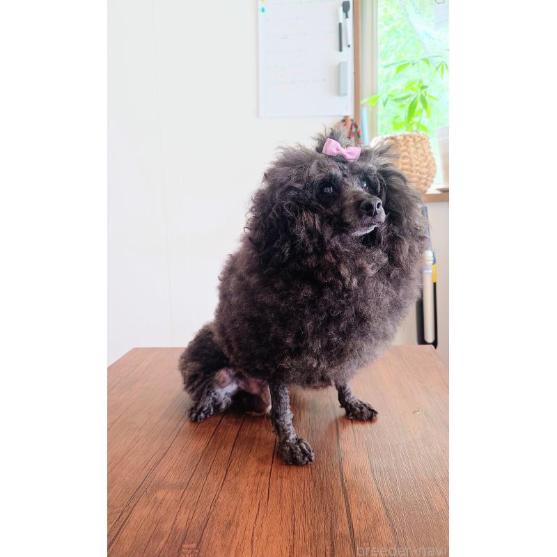 じょんじょんくん1枚目