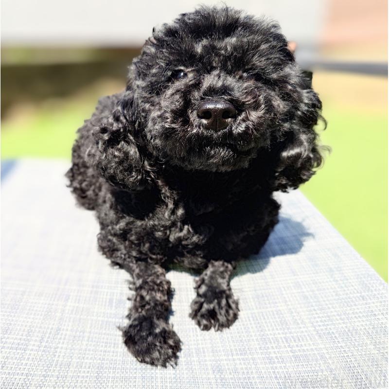 舞花ちゃん1枚目