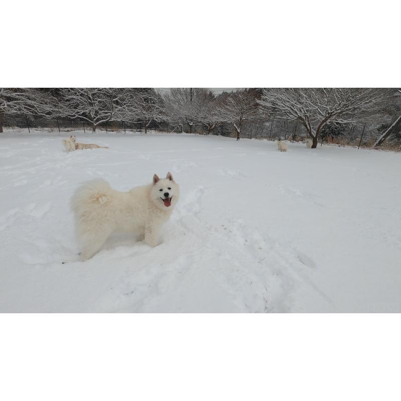 ましろちゃんちゃん1枚目