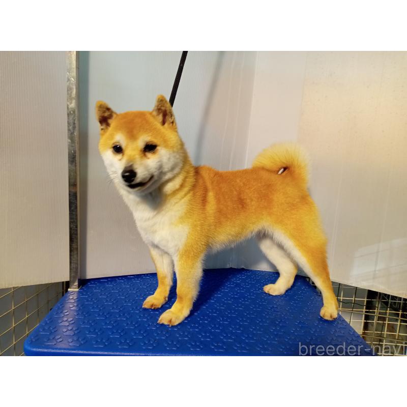 ひなちゃん1枚目