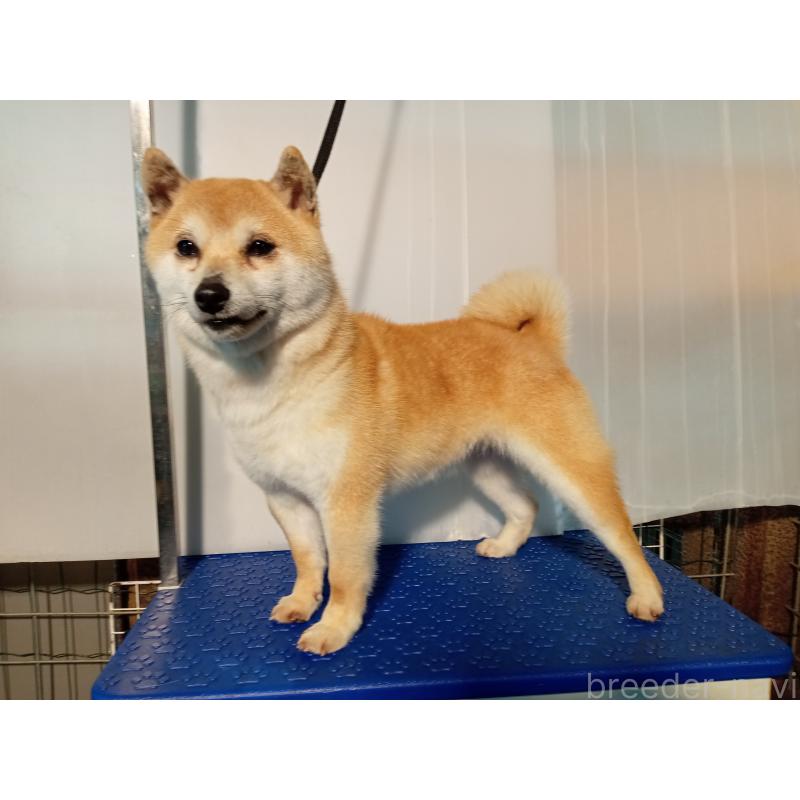 ひなちゃん1枚目