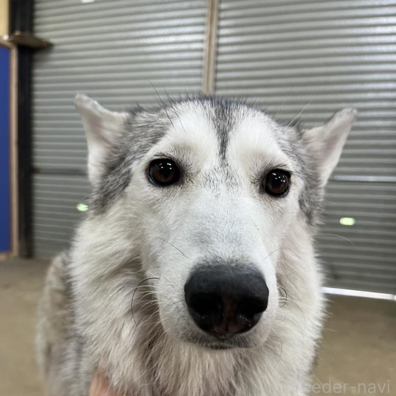 リアちゃん1枚目