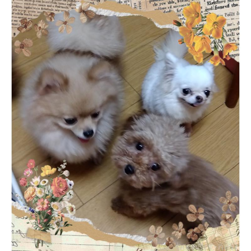 ❇いくら❇ちゃん1枚目