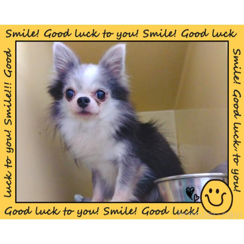 ルチア💙くん1枚目