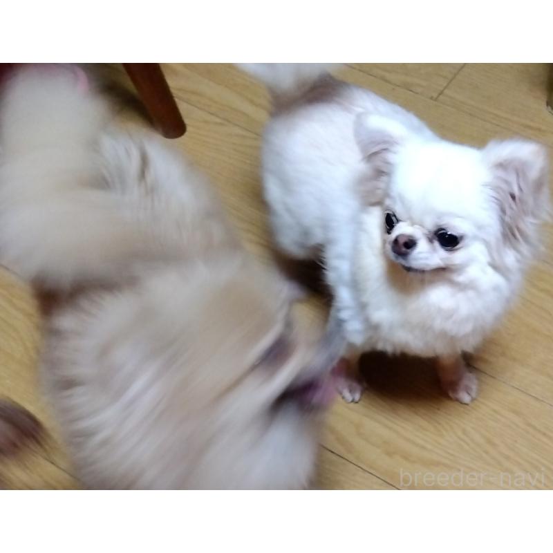 カノン🍓ちゃん1枚目