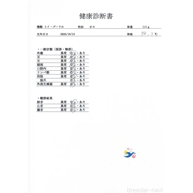 販売中の群馬県のトイプードル-429993の9枚目