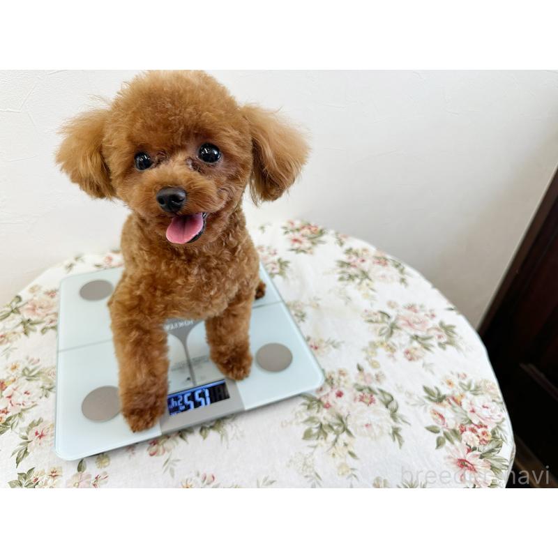 ニコルくん1枚目