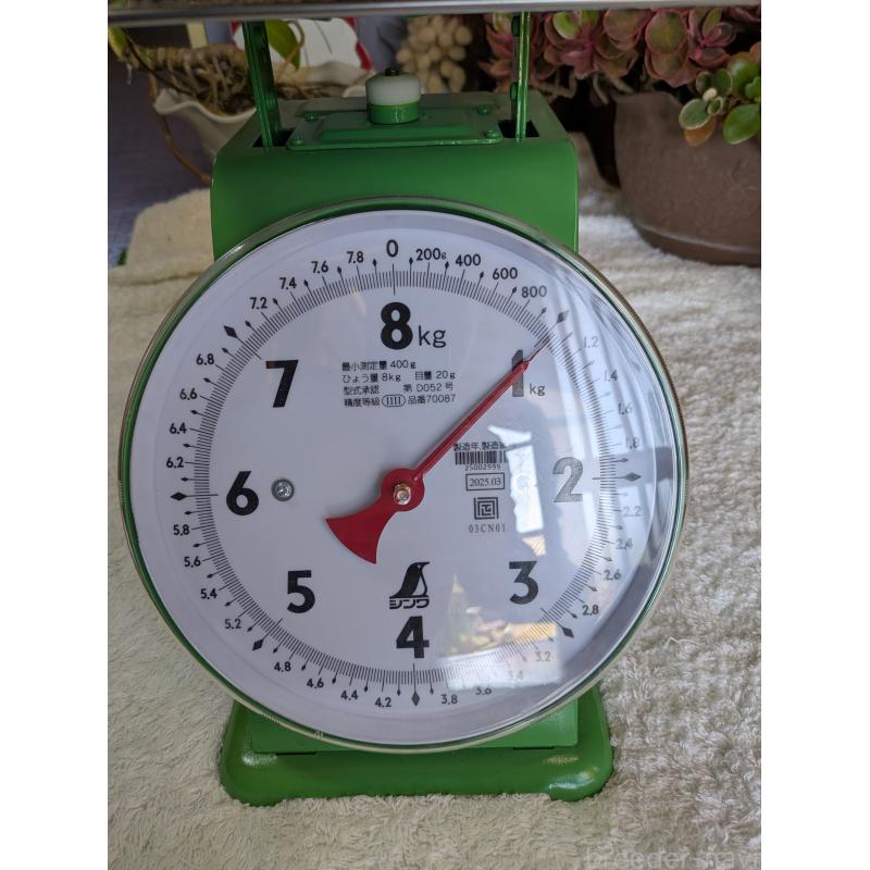 成約済の鹿児島県の豆柴-428464の8枚目