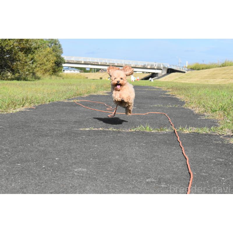 まさみちゃん1枚目