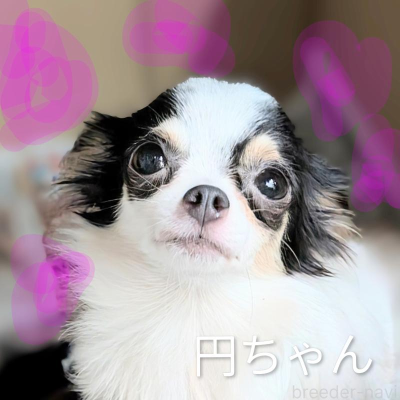 まどかちゃん1枚目