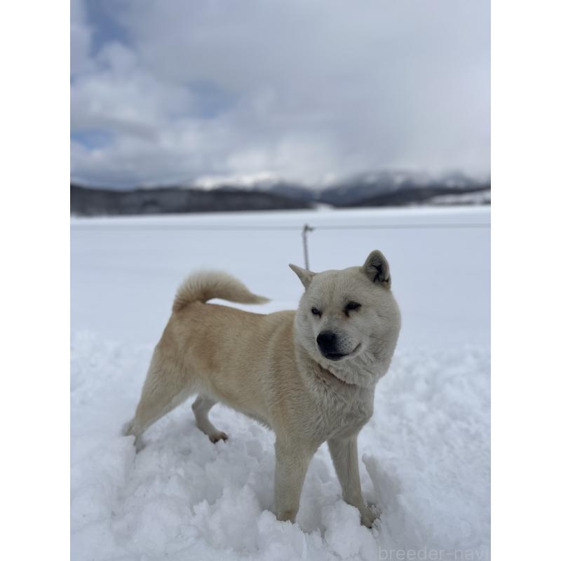 ウパシちゃん1枚目