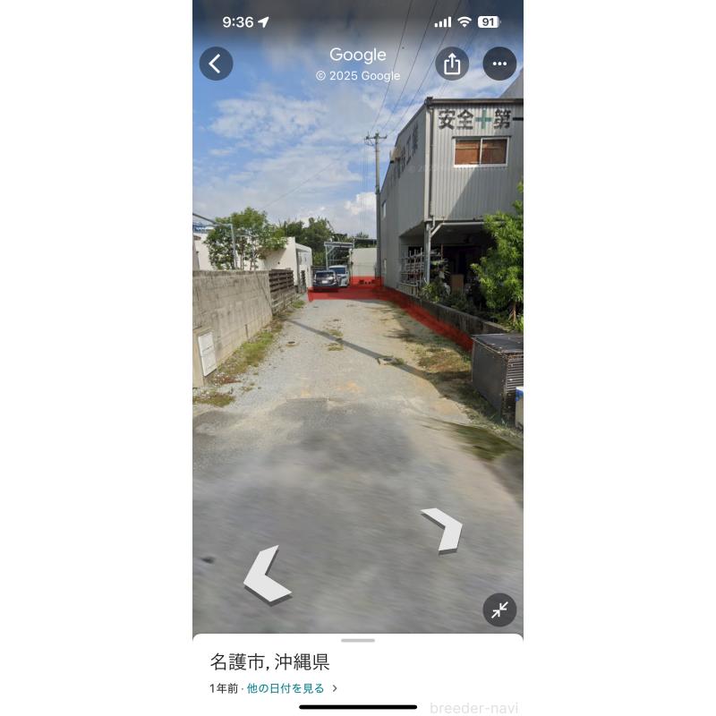 販売中の沖縄県のトイプードル-424455の5枚目