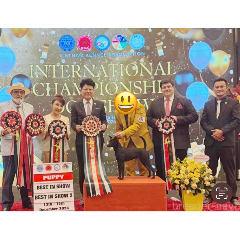 招財ちゃん1枚目