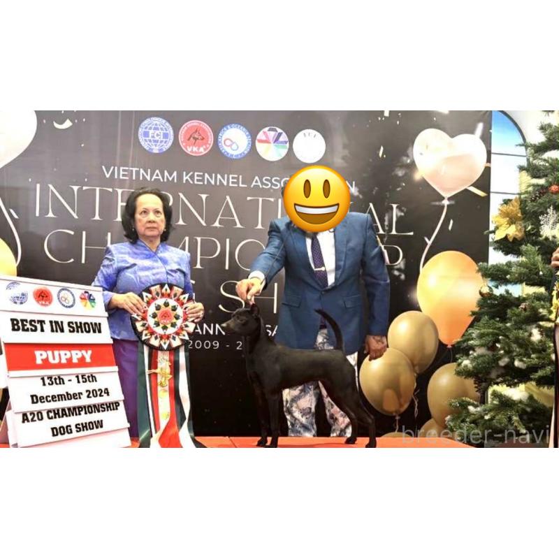 招財ちゃん1枚目