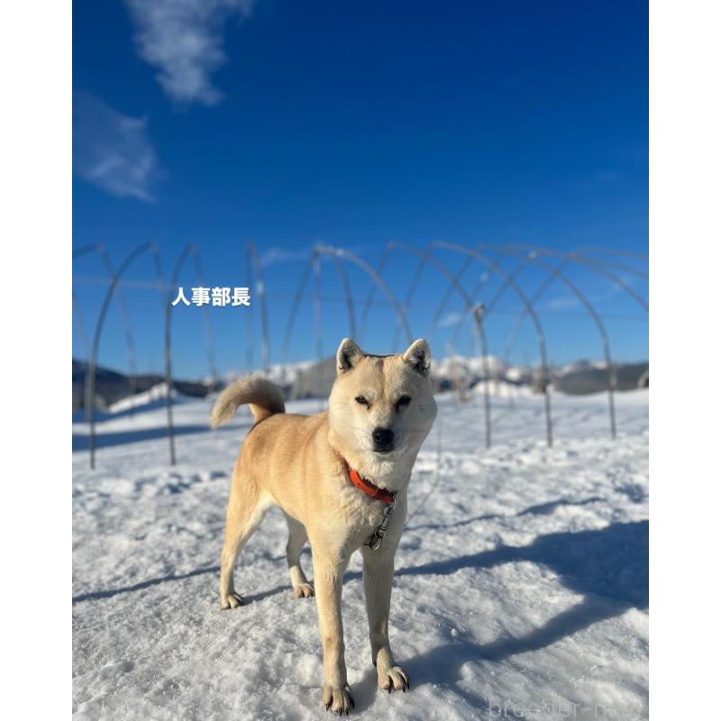 ウパシちゃん1枚目