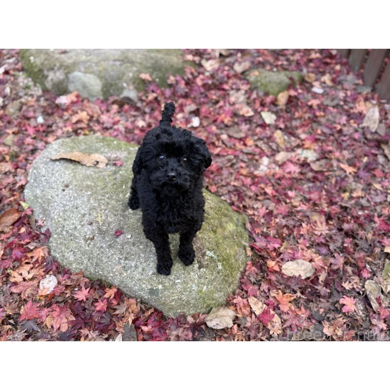 キキちゃん1枚目