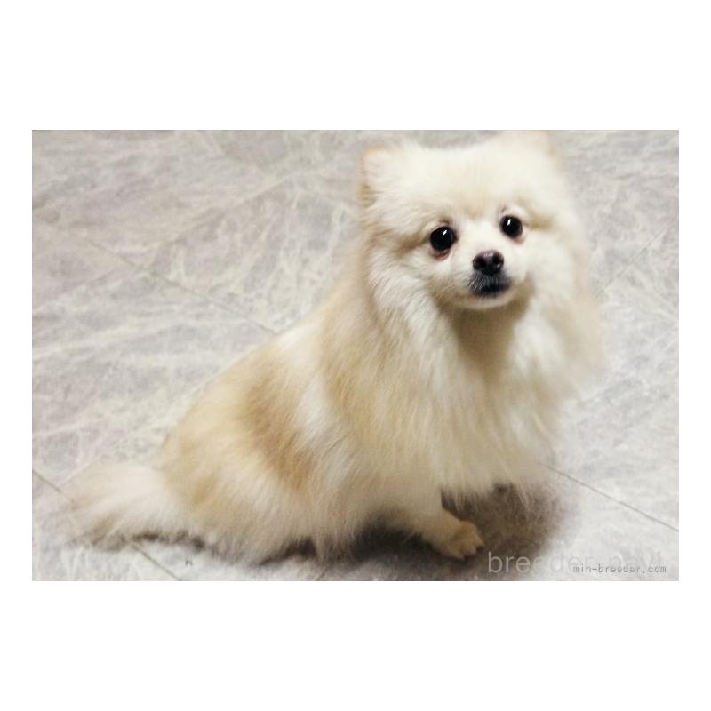 ユキちゃんちゃん1枚目