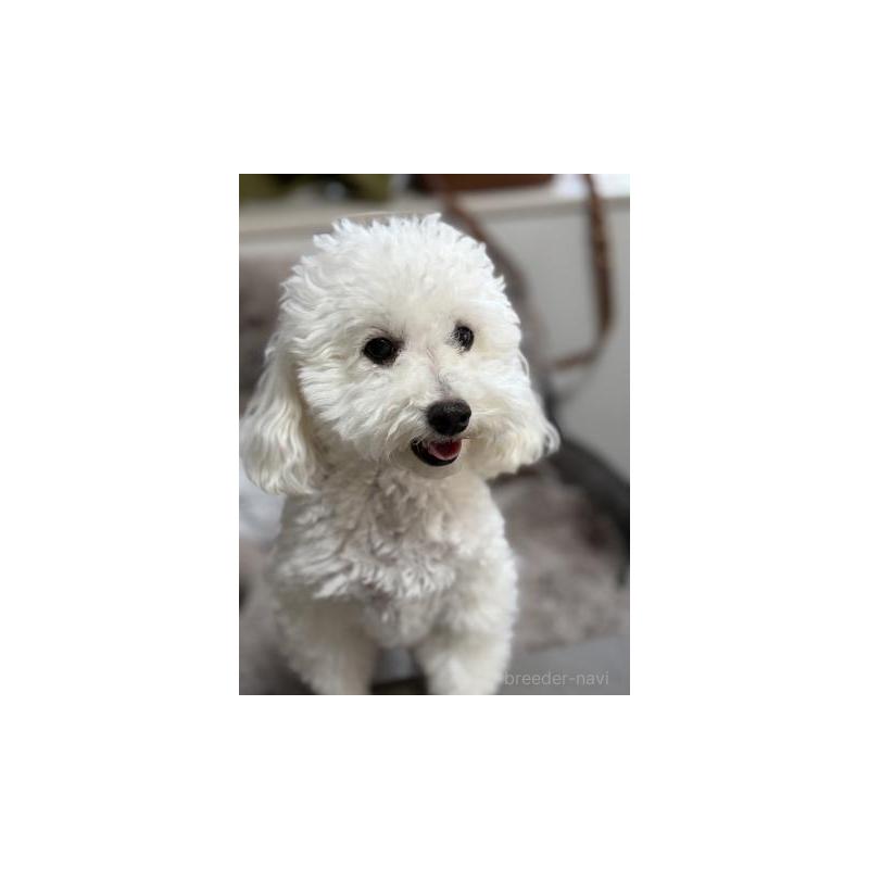 ミルクちゃん1枚目