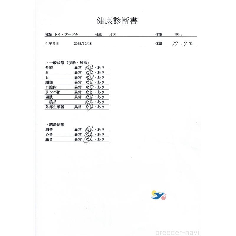 販売中の群馬県のトイプードル-431540の8枚目
