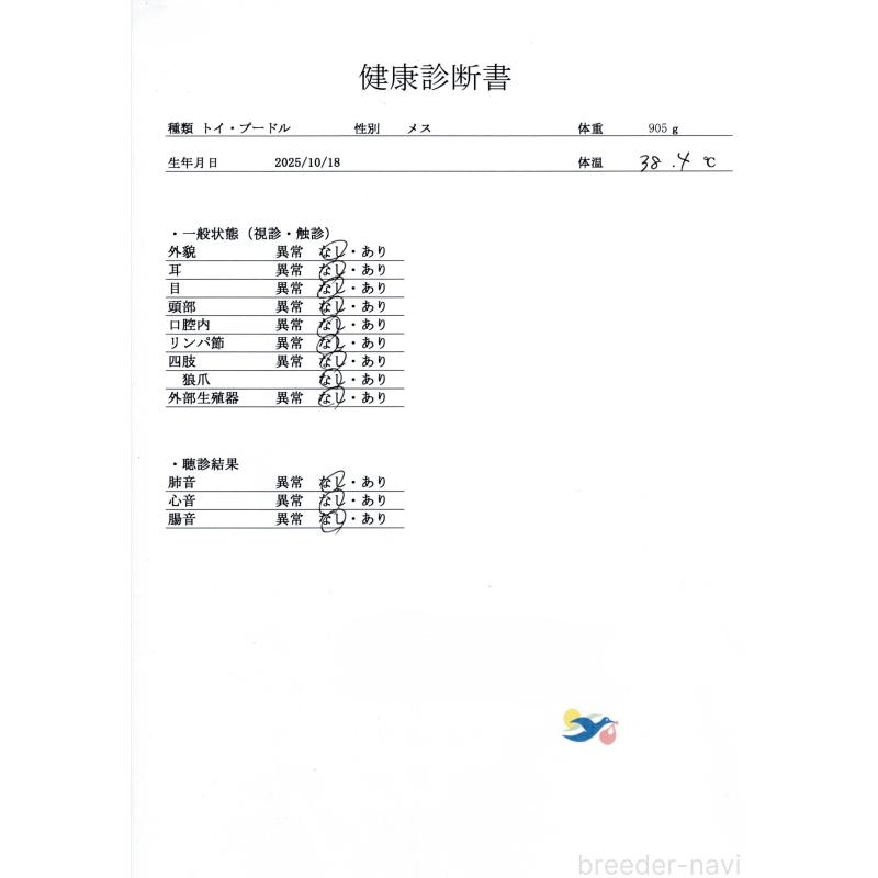 販売中の群馬県のトイプードル-431534の8枚目