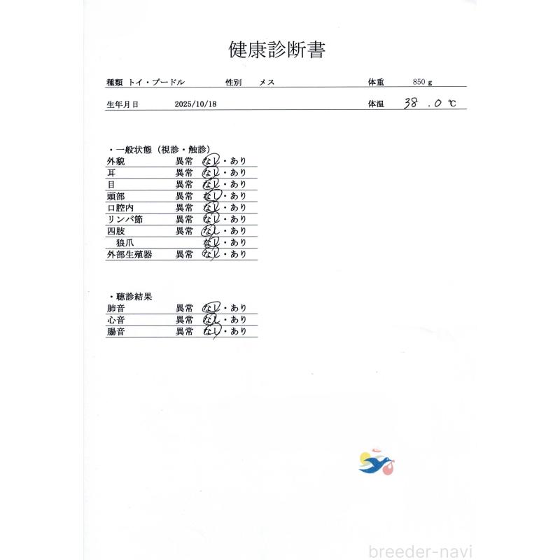 販売中の群馬県のトイプードル-431531の8枚目