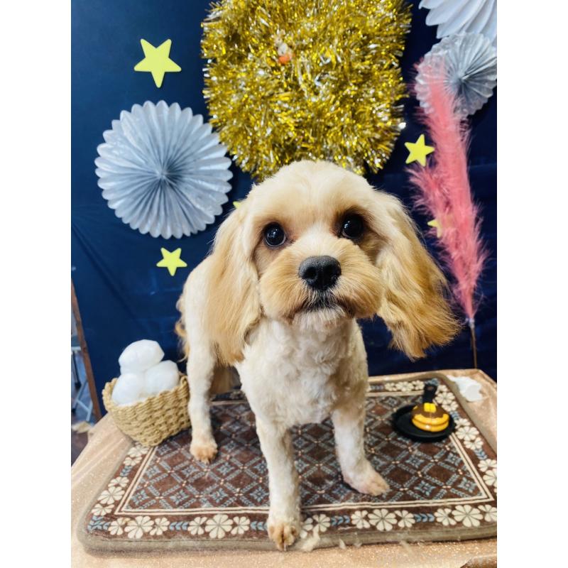 サンちゃんちゃん1枚目