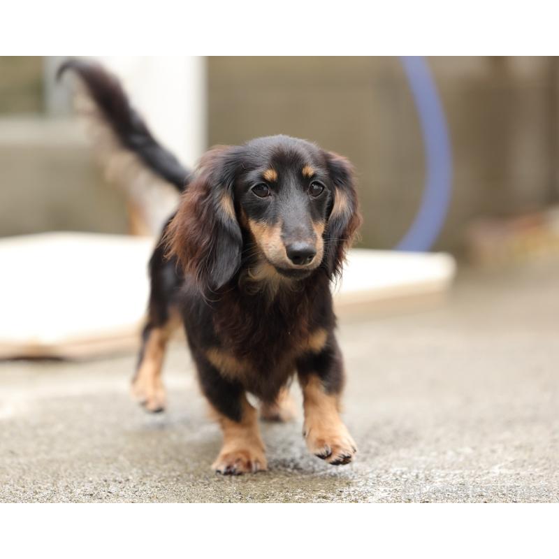 ガイアくん1枚目