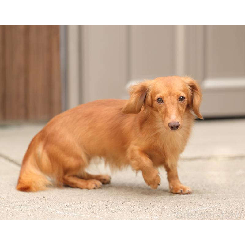 うたちゃん1枚目