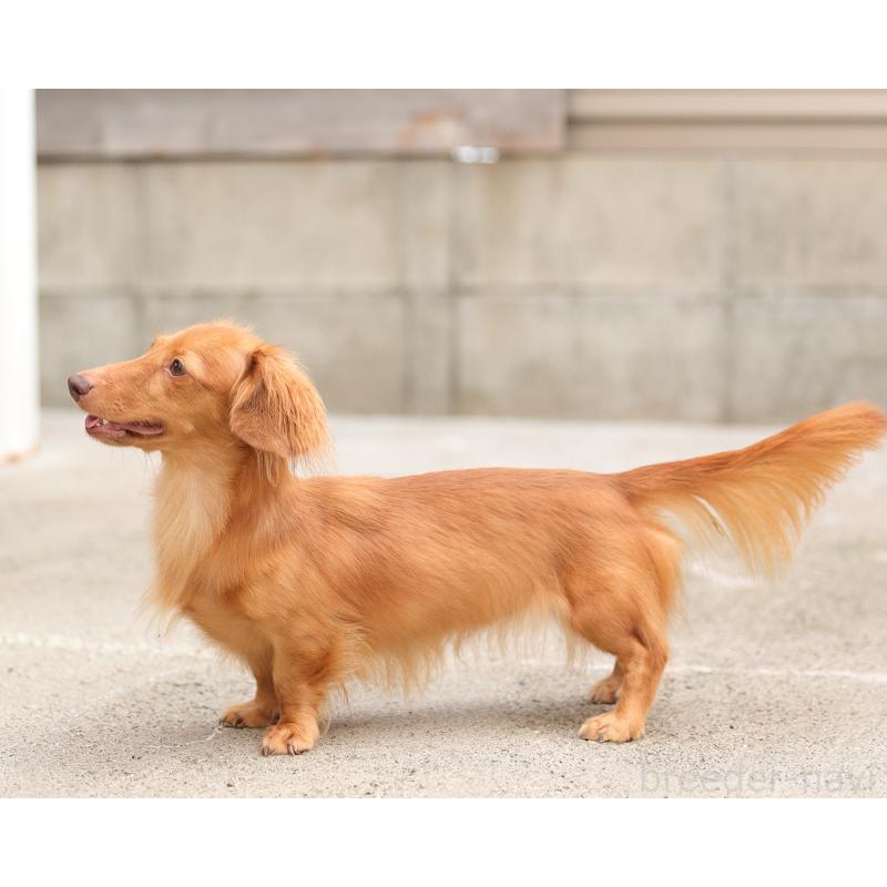 うたちゃん1枚目