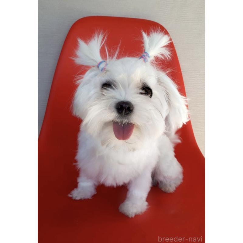 スッチちゃん1枚目