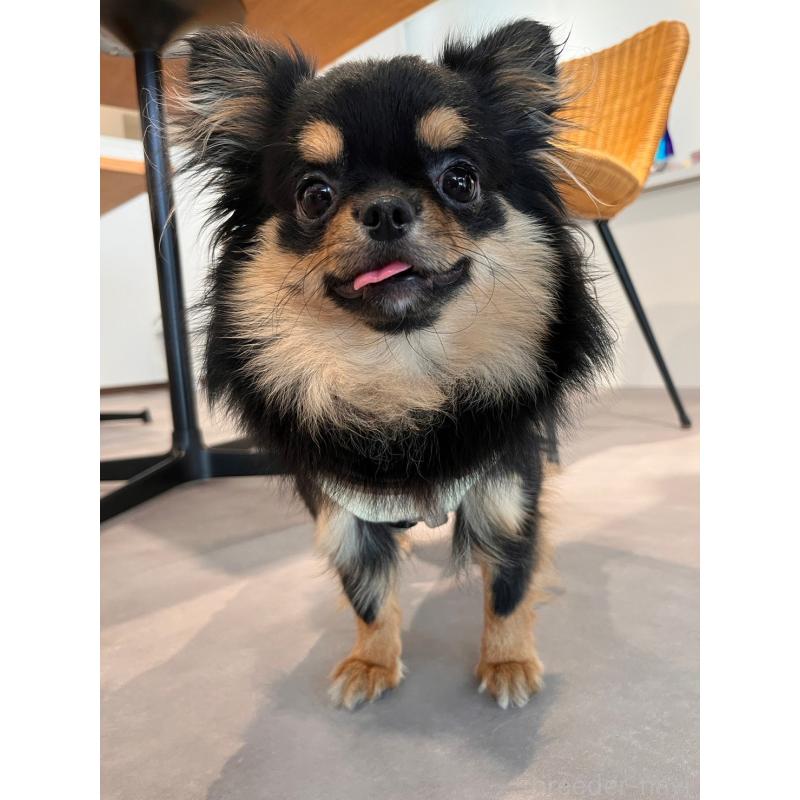 とろろくん1枚目