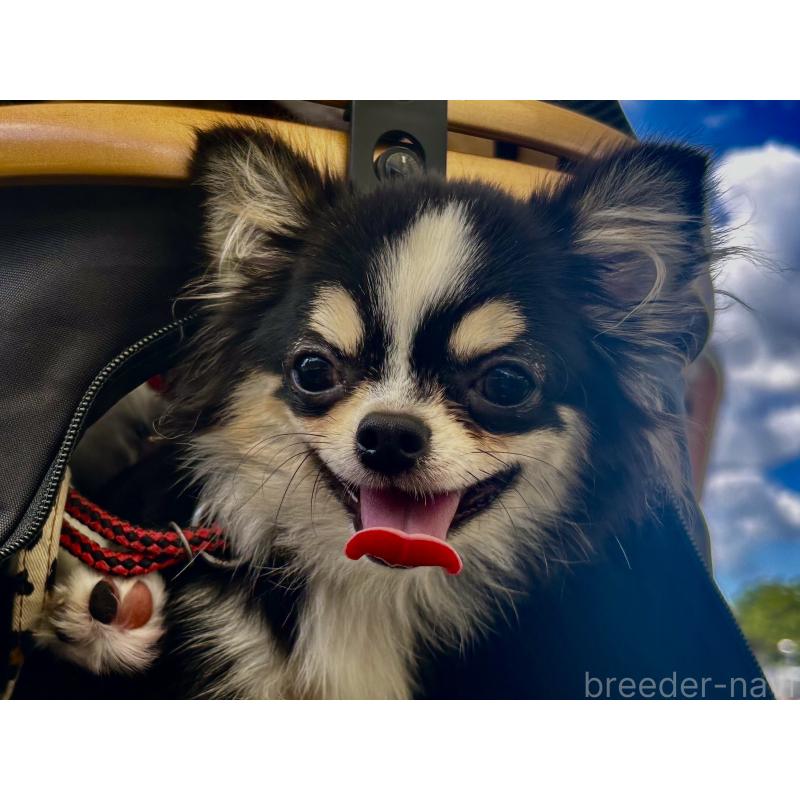 セナちゃん1枚目