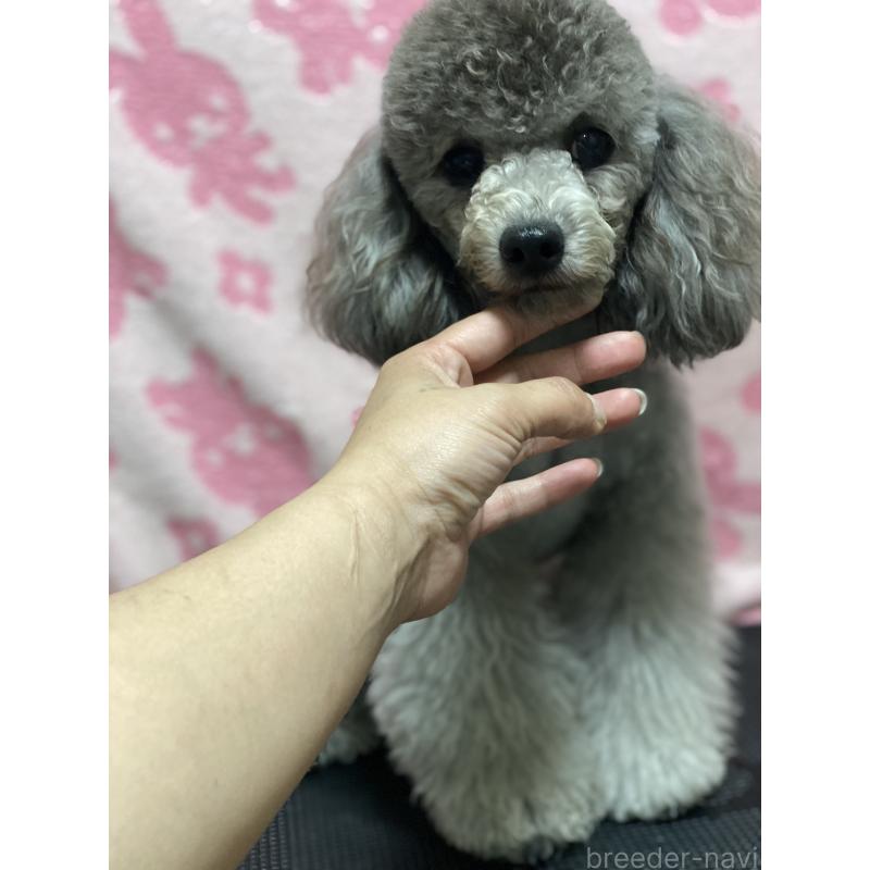 バニラくん1枚目