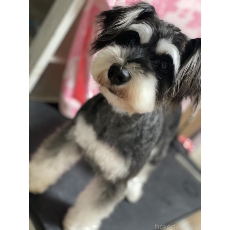 リンちゃん1枚目