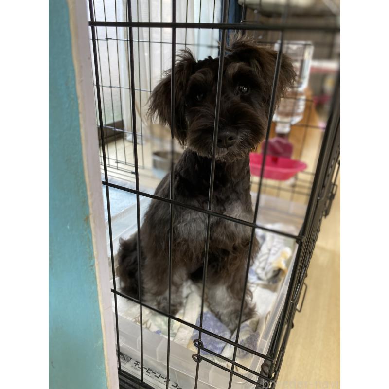 ベルちゃん1枚目