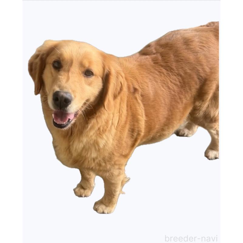 らむちゃん1枚目