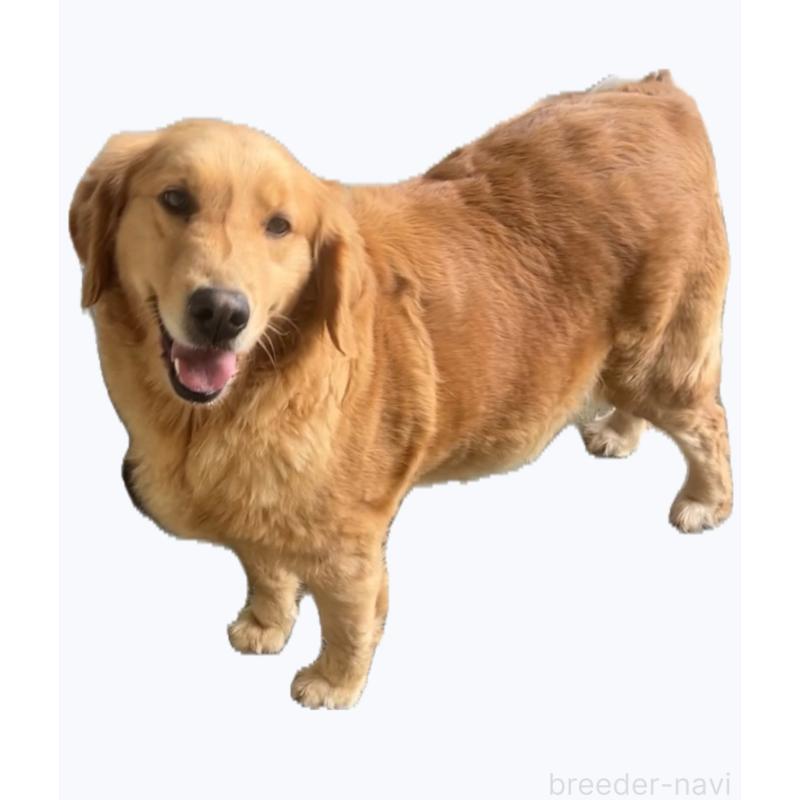 らむちゃん1枚目