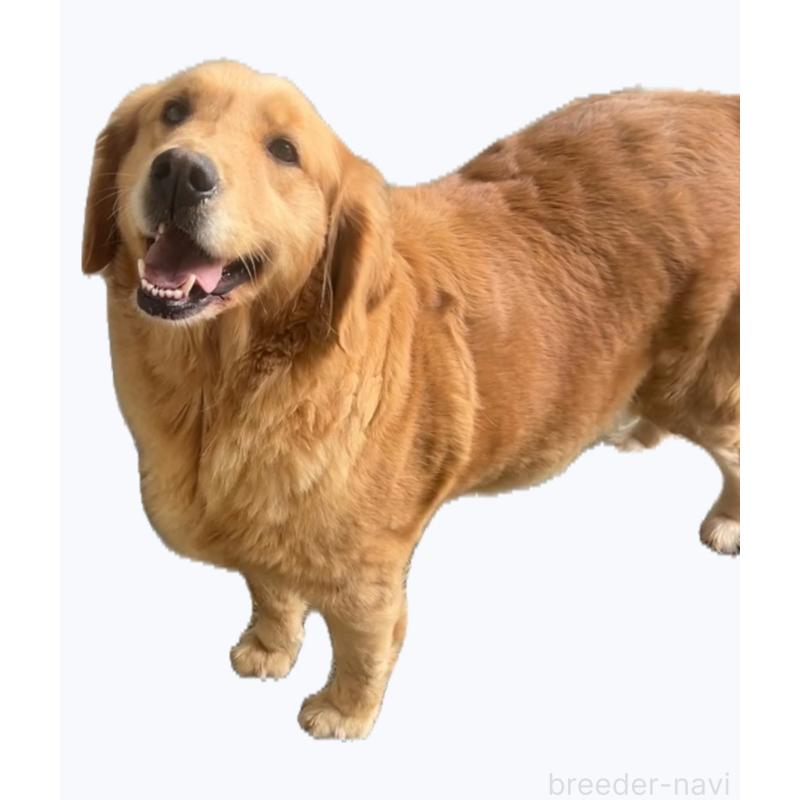 らむちゃん1枚目