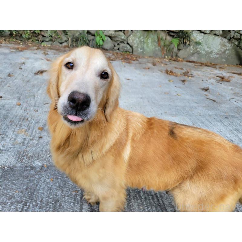 クライシースちゃん1枚目