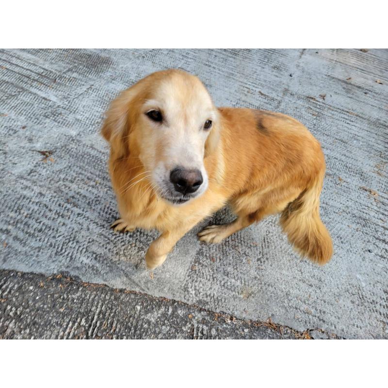 クライシースちゃん1枚目