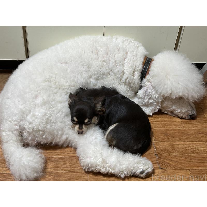 こおりちゃん1枚目