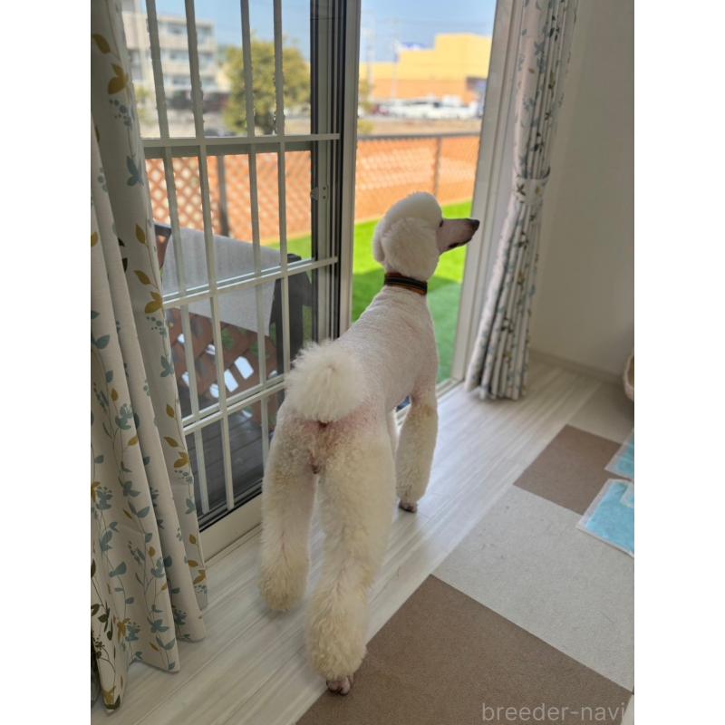 こおりちゃん1枚目