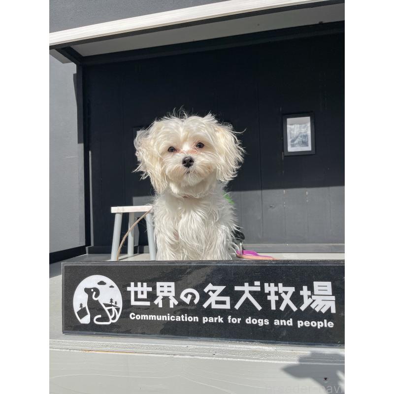 エルサちゃん1枚目