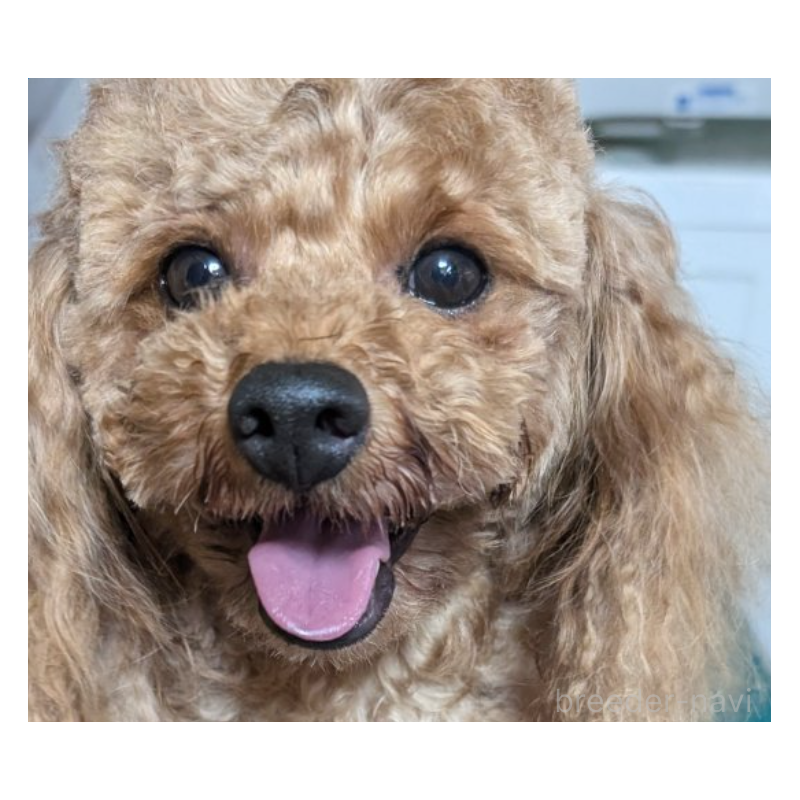 エドガーくん1枚目