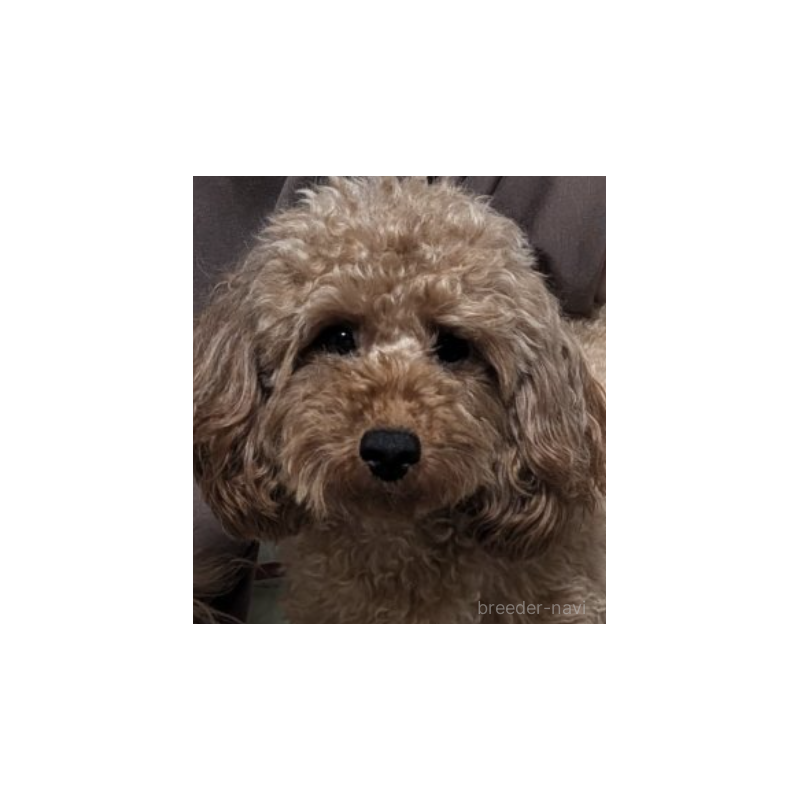 りくちゃん1枚目