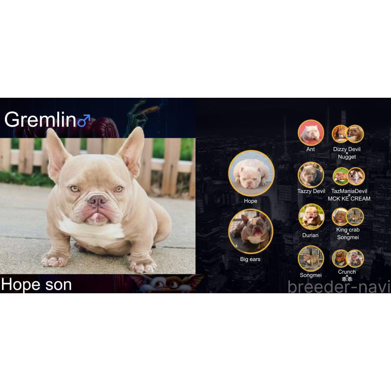 Gremlinくん1枚目
