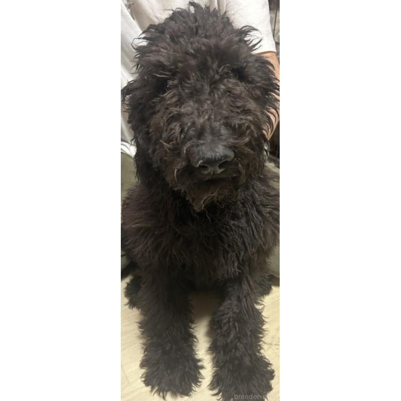 そうくんくん1枚目